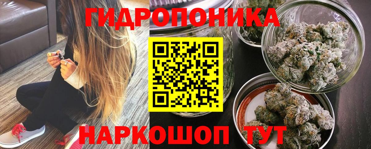 Бошки Шишки LSD WEED Славгород